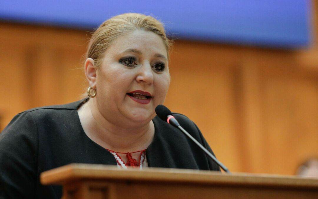 Diana Şoşoacă, chemată pentru audieri la Parchetul General